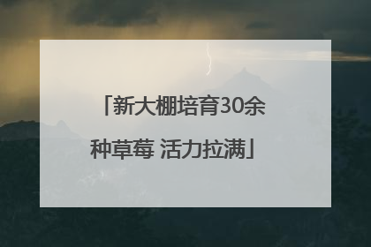 新大棚培育30余种草莓 活力拉满