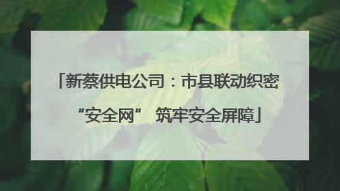 新蔡供电公司：市县联动织密“安全网” 筑牢安全屏障