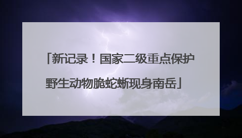 新记录！国家二级重点保护野生动物脆蛇蜥现身南岳