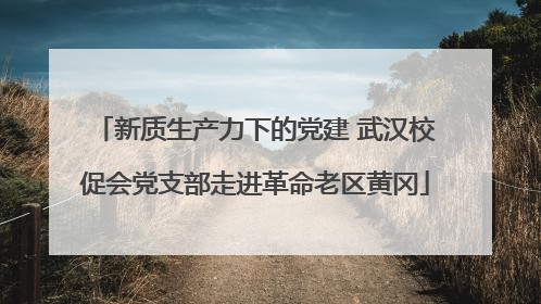新质生产力下的党建 武汉校促会党支部走进革命老区黄冈