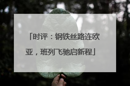 时评：钢铁丝路连欧亚，班列飞驰启新程