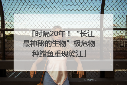 时隔20年！“长江最神秘的生物”极危物种鳤鱼重现赣江