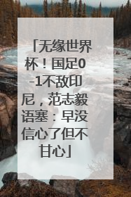 无缘世界杯！国足0-1不敌印尼，范志毅语塞：早没信心了但不甘心