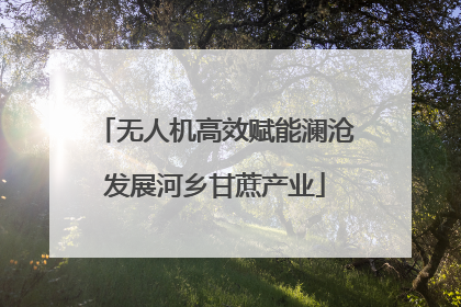 无人机高效赋能澜沧发展河乡甘蔗产业