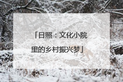 日照：文化小院里的乡村振兴梦