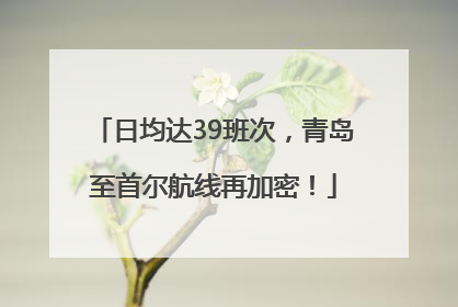 日均达39班次，青岛至首尔航线再加密！