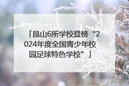 昆山6所学校登榜“2024年度全国青少年校园足球特色学校”