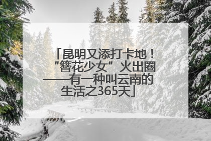 昆明又添打卡地！“簪花少女”火出圈——有一种叫云南的生活之365天