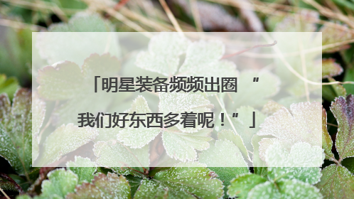 明星装备频频出圈 “我们好东西多着呢！”