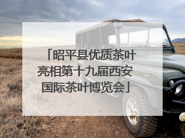 昭平县优质茶叶亮相第十九届西安国际茶叶博览会