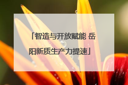 智造与开放赋能 岳阳新质生产力提速