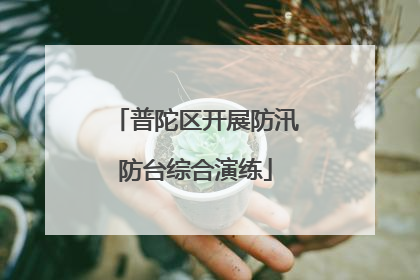 普陀区开展防汛防台综合演练