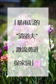 暴雨后的“清道夫”，激流勇进保家园