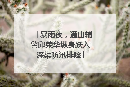 暴雨夜，通山辅警邱荣华纵身跃入深渠防汛排险