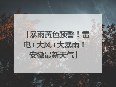 暴雨黄色预警！雷电+大风+大暴雨！安徽最新天气