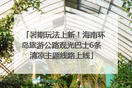 暑期玩法上新！海南环岛旅游公路观光巴士6条清凉主题线路上线