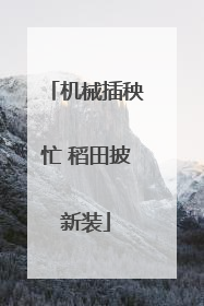 机械插秧忙 稻田披新装