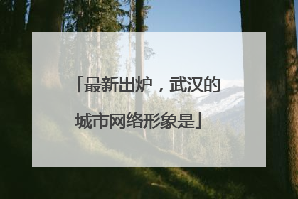 最新出炉，武汉的城市网络形象是