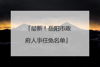 最新！岳阳市政府人事任免名单