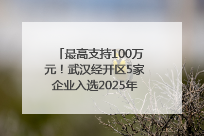 最高支持100万元！武汉经开区5家企业入选2025年度武汉市重点研发计划拟立项项目名单