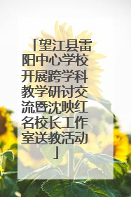 望江县雷阳中心学校开展跨学科教学研讨交流暨沈映红名校长工作室送教活动