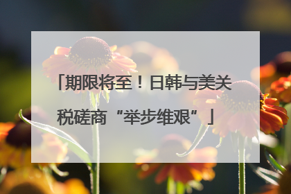 期限将至！日韩与美关税磋商“举步维艰”