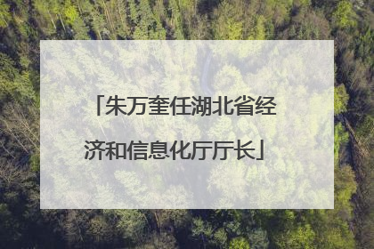 朱万奎任湖北省经济和信息化厅厅长