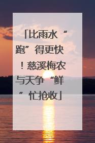 比雨水“跑”得更快！慈溪梅农与天争“鲜”忙抢收