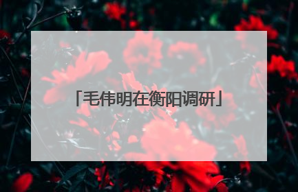 毛伟明在衡阳调研