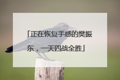 正在恢复手感的樊振东，一天四战全胜