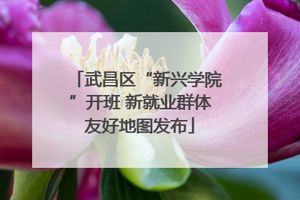 武昌区“新兴学院”开班 新就业群体友好地图发布