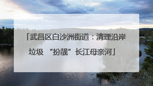 武昌区白沙洲街道：清理沿岸垃圾 “扮靓”长江母亲河