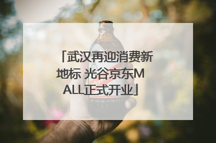 武汉再迎消费新地标 光谷京东MALL正式开业