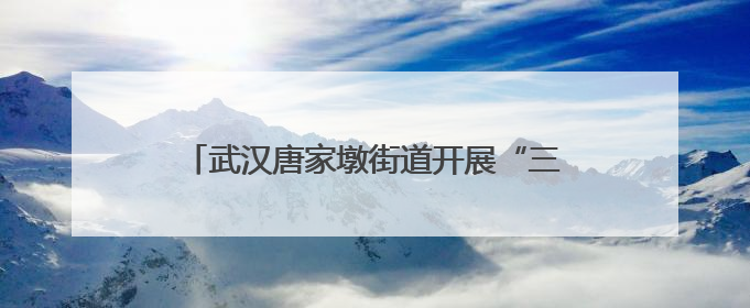 武汉唐家墩街道开展“三大精神”沉浸式宣讲活动