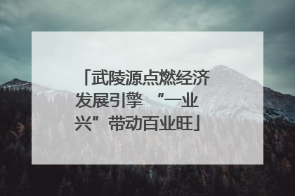 武陵源点燃经济发展引擎 “一业兴”带动百业旺