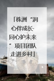 株洲“润心伴成长·同心护未来”项目团队走进乡村