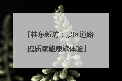 桂东新坊：景区道路提质赋能康旅体验