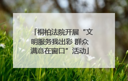 桐柏法院开展“文明服务我出彩 群众满意在窗口”活动