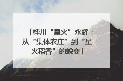 桦川“星火”永耀：从“集体农庄”到“星火稻香”的蜕变