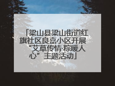 梁山县梁山街道红旗社区良嘉小区开展“艾草传情·粽暖人心”主题活动