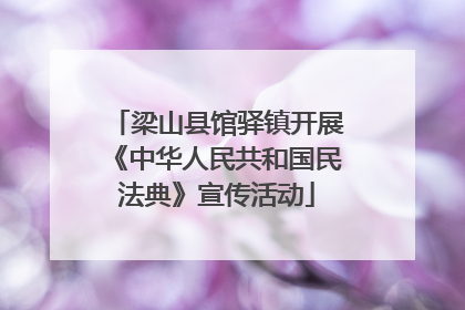 梁山县馆驿镇开展《中华人民共和国民法典》宣传活动