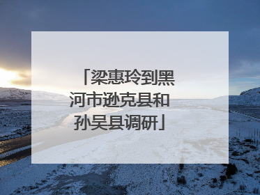 梁惠玲到黑河市逊克县和孙吴县调研