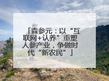 森参元：以“互联网+认养”重塑人参产业，争做时代“新农民”