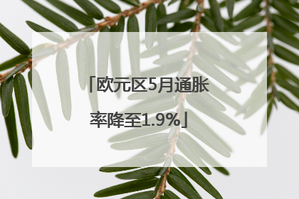欧元区5月通胀率降至1.9%