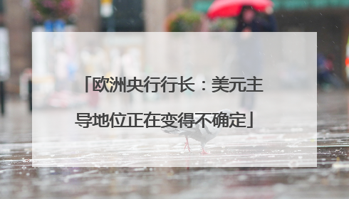 欧洲央行行长：美元主导地位正在变得不确定