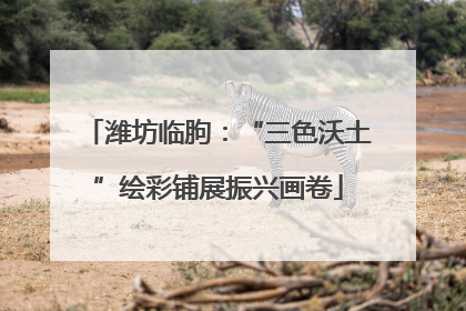 潍坊临朐：“三色沃土”绘彩铺展振兴画卷