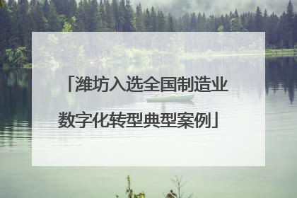 潍坊入选全国制造业数字化转型典型案例