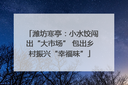 潍坊寒亭：小水饺闯出“大市场” 包出乡村振兴“幸福味”
