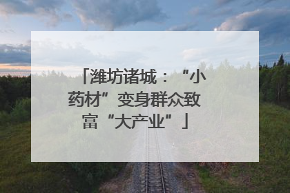 潍坊诸城：“小药材”变身群众致富“大产业”