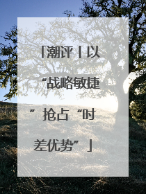 潮评丨以“战略敏捷”抢占“时差优势”